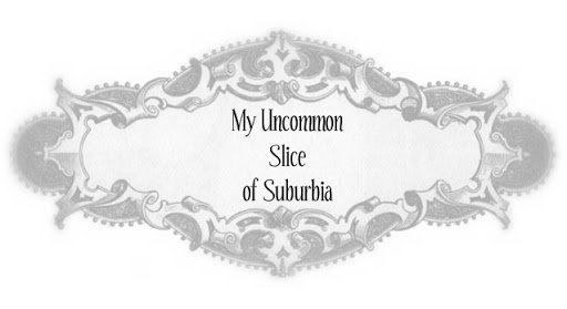 My Uncommon Slice of Suburbia