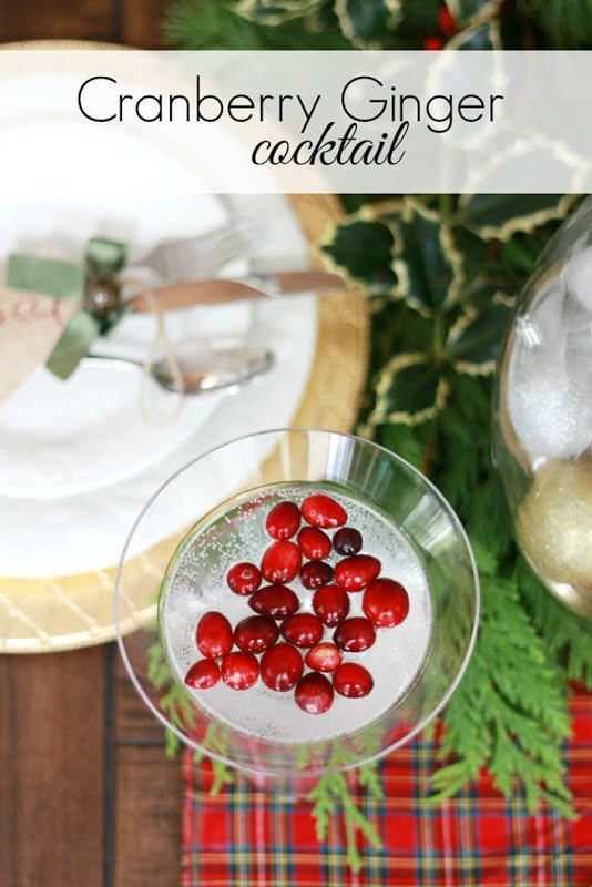 Holiday Cocktail | Cranberry Ginger - A Thoughtful Place