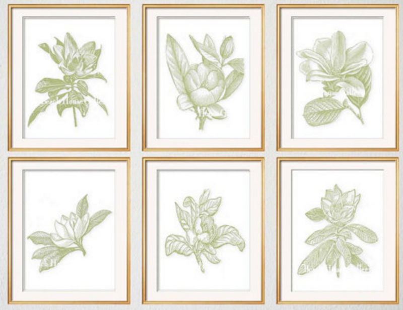 botanical prints