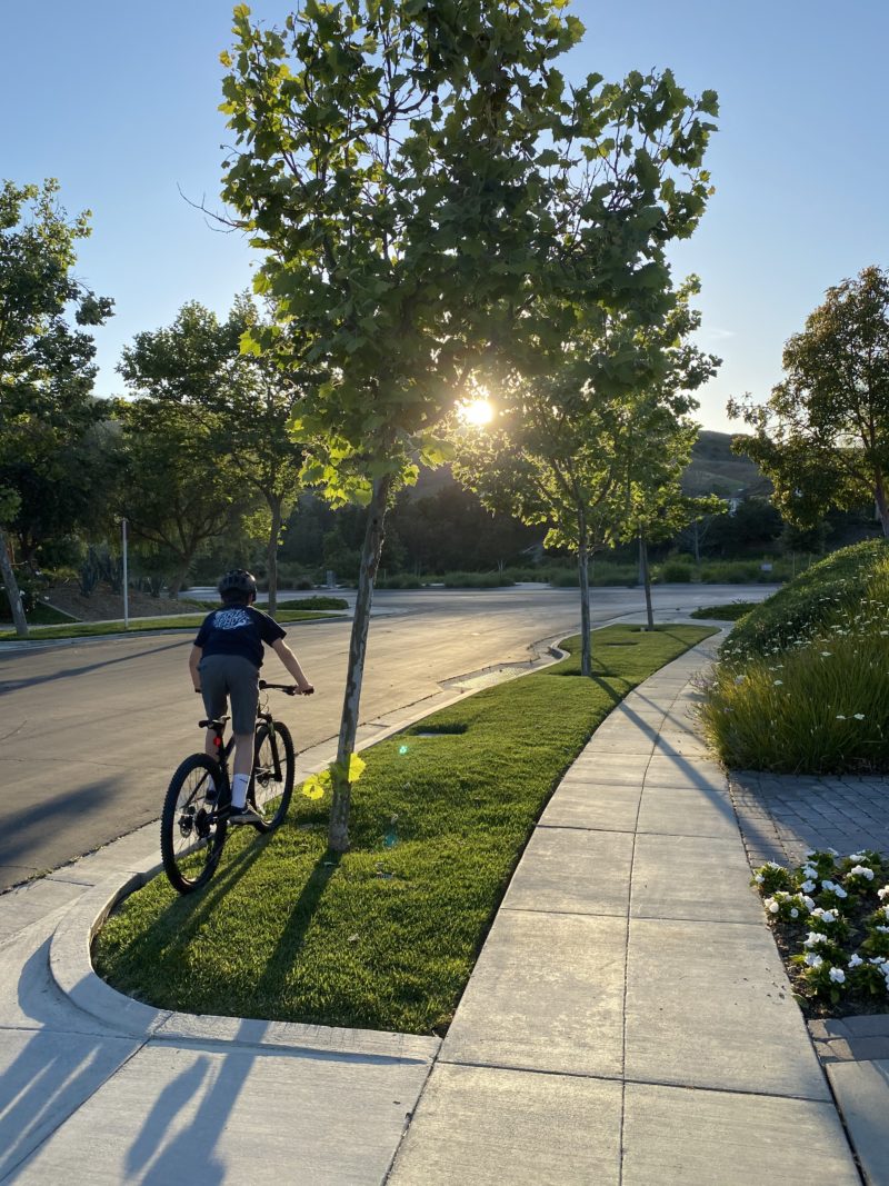 evening bike ride