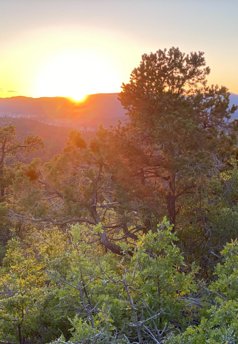 sunset jeep tour