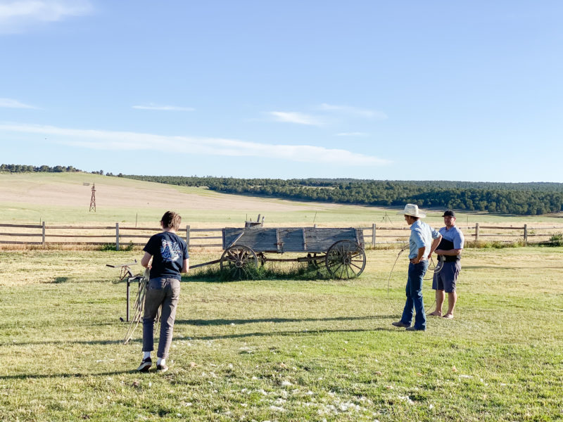 learning to lasso