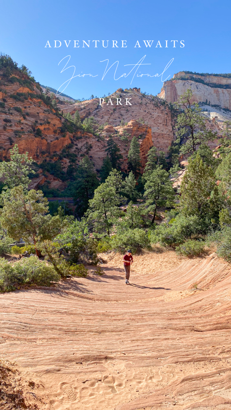 zion national park