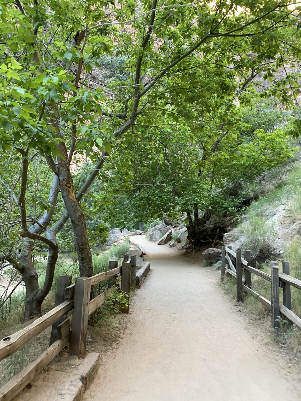 Summer in Zion - A Thoughtful Place