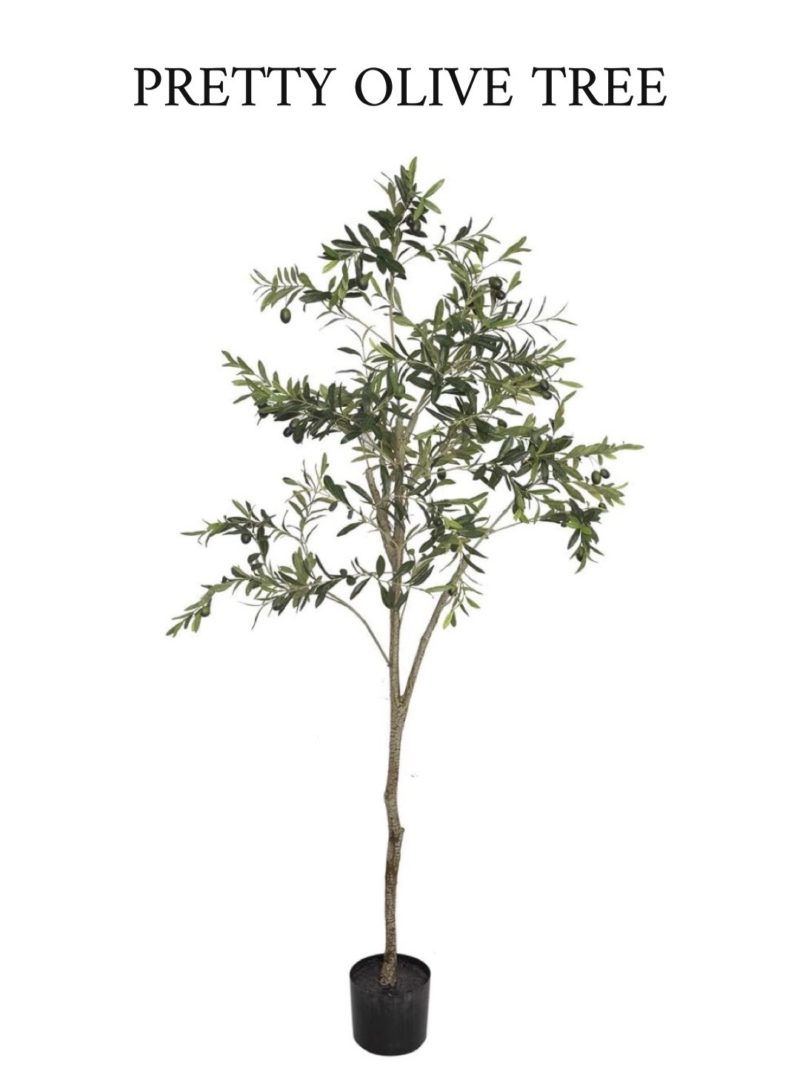 olive tree