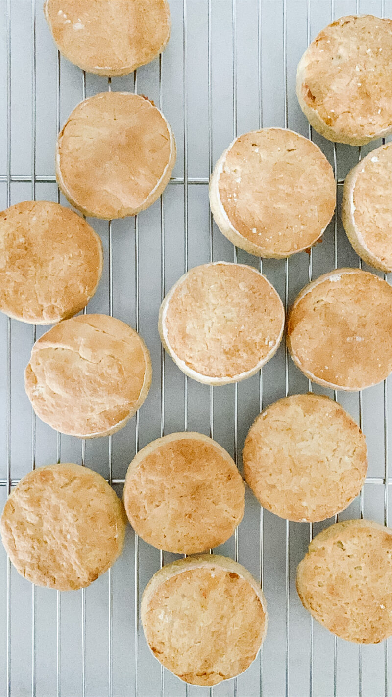 homemade biscuits