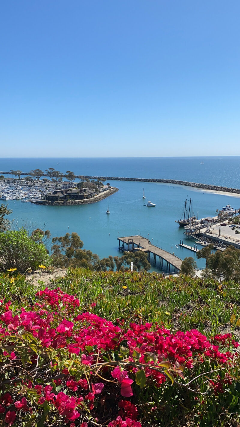 overlooking dana point harbor