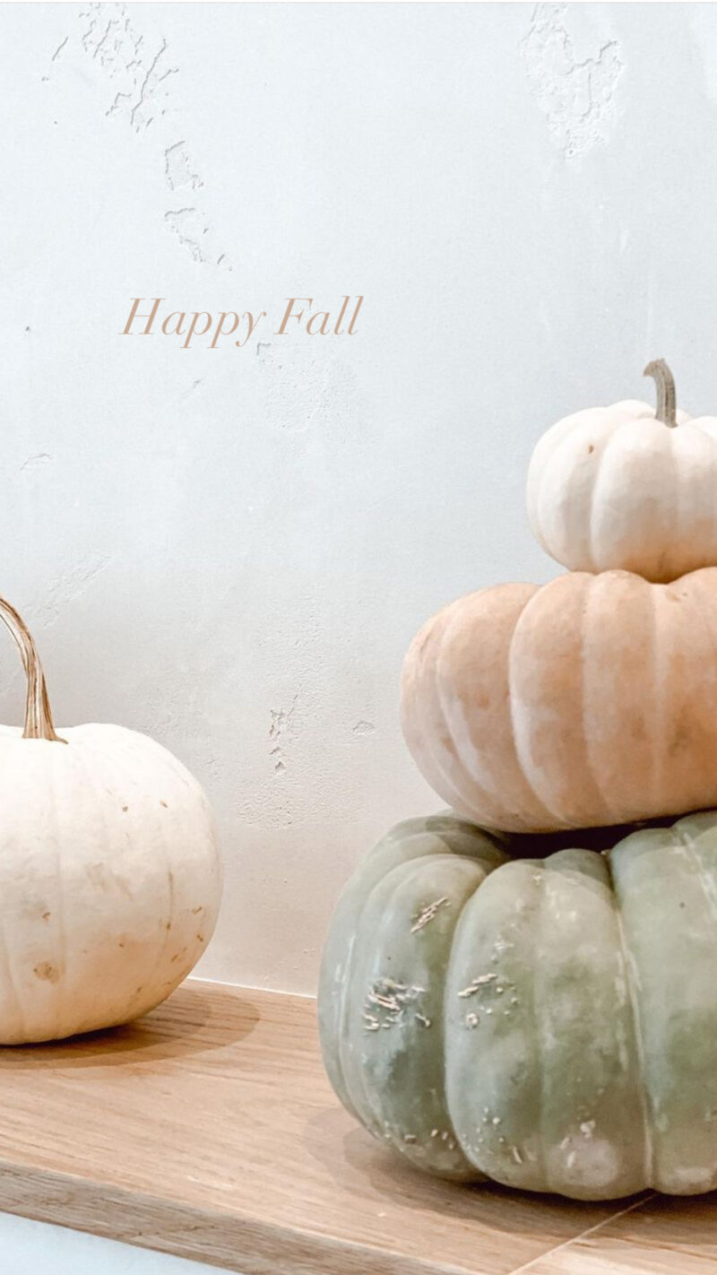 happy fall monday wrap up