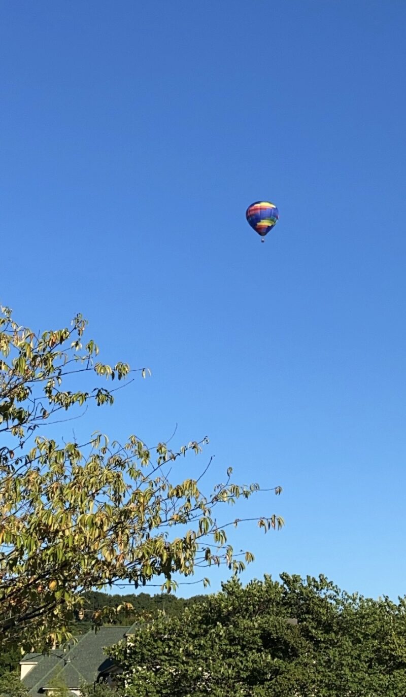 hot air balloon