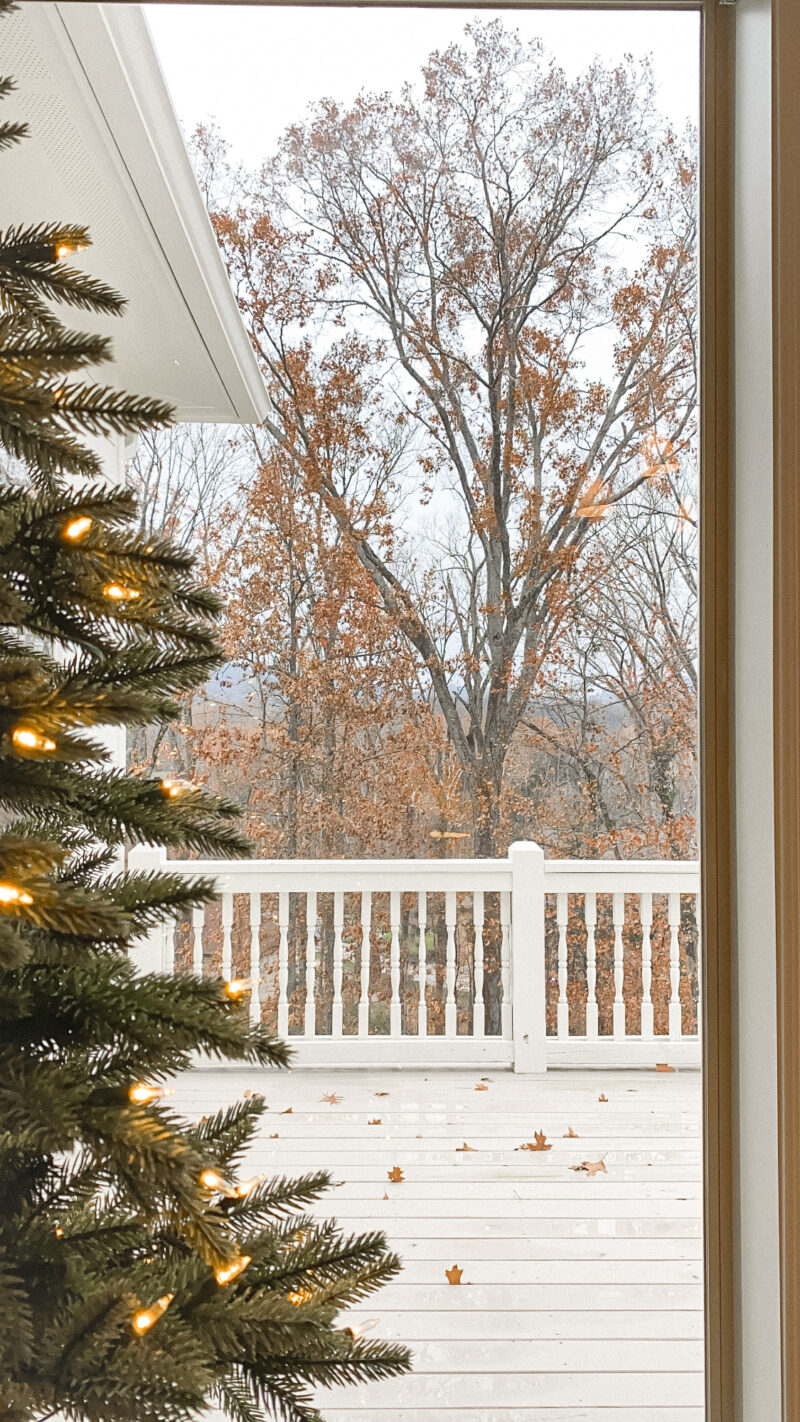 winter trees