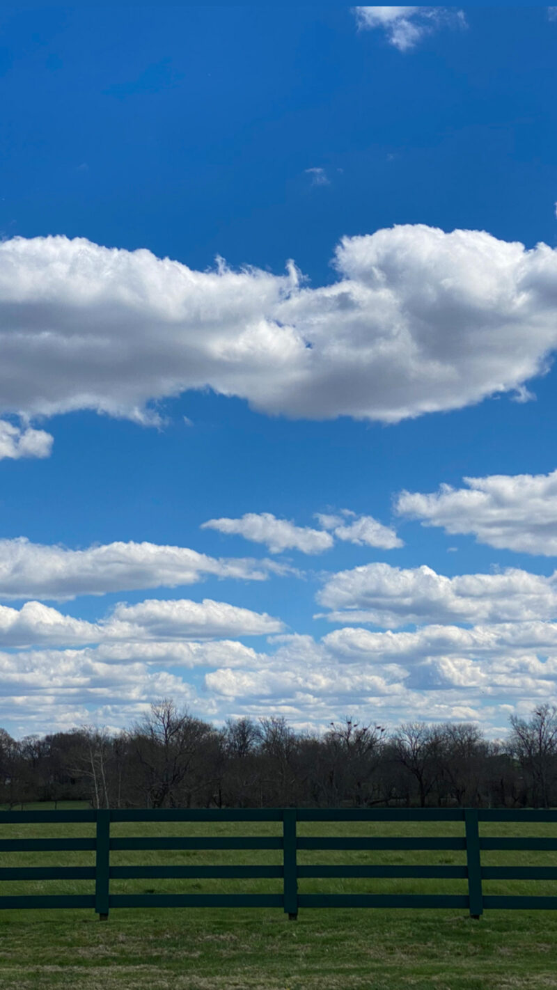 tennessee skies