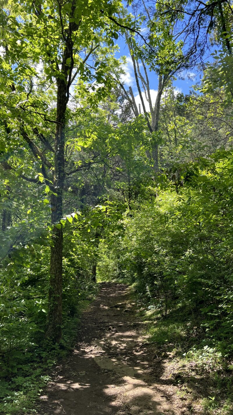 hiking monday morning