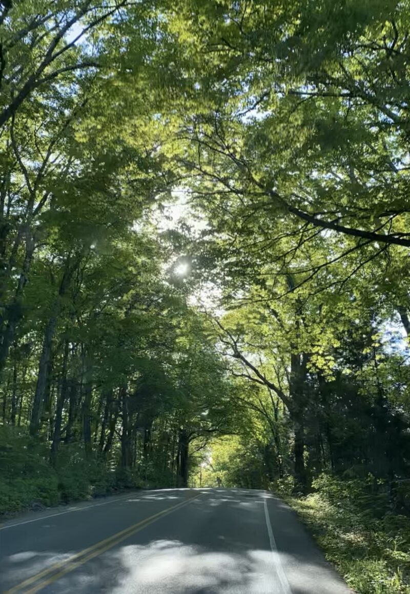 tennessee back roads