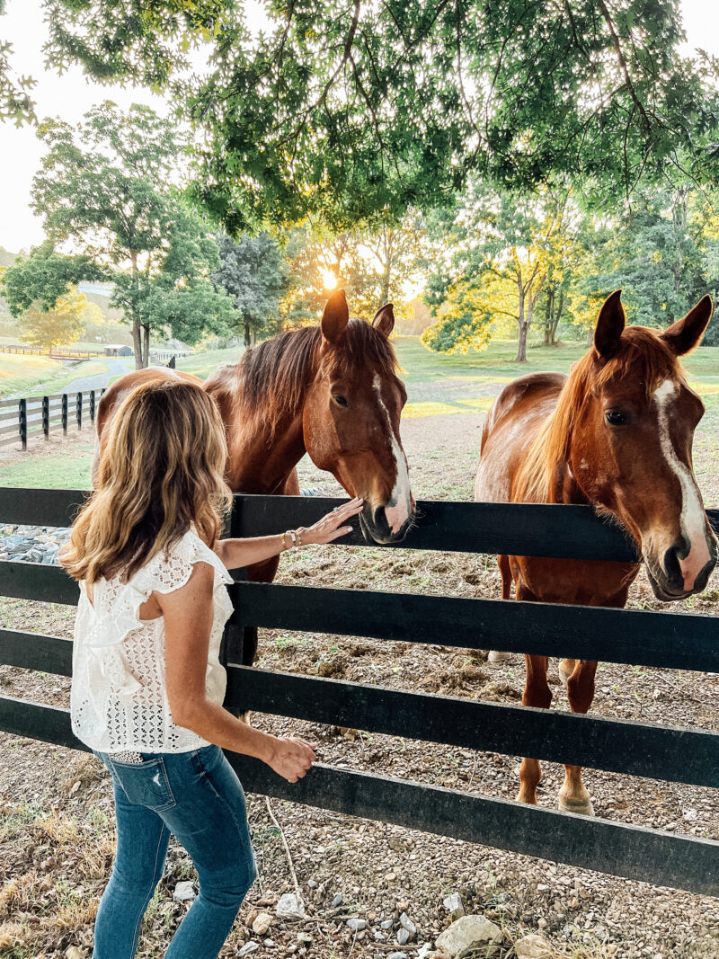 trace view ranch