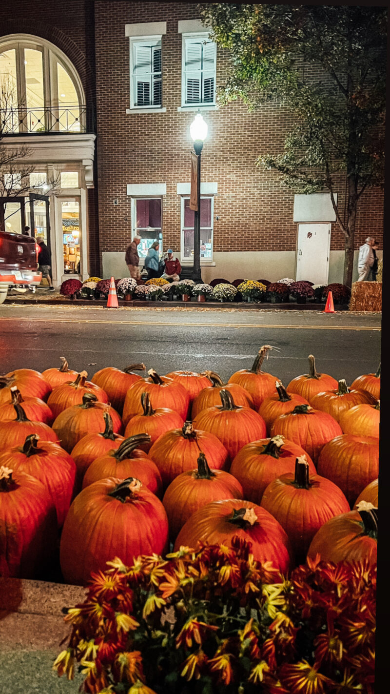 pumpkin fest