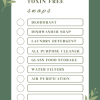 toxin free checklist