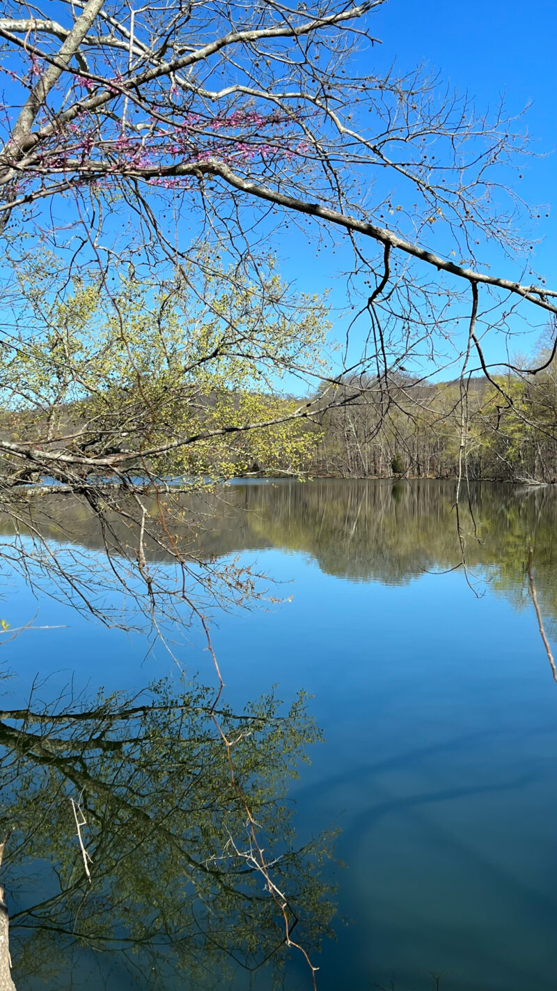 radnor lake