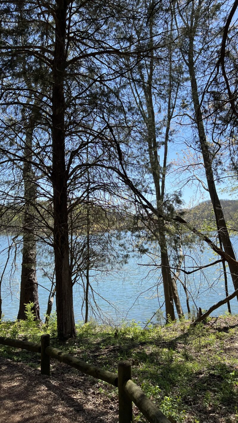 radnor lake