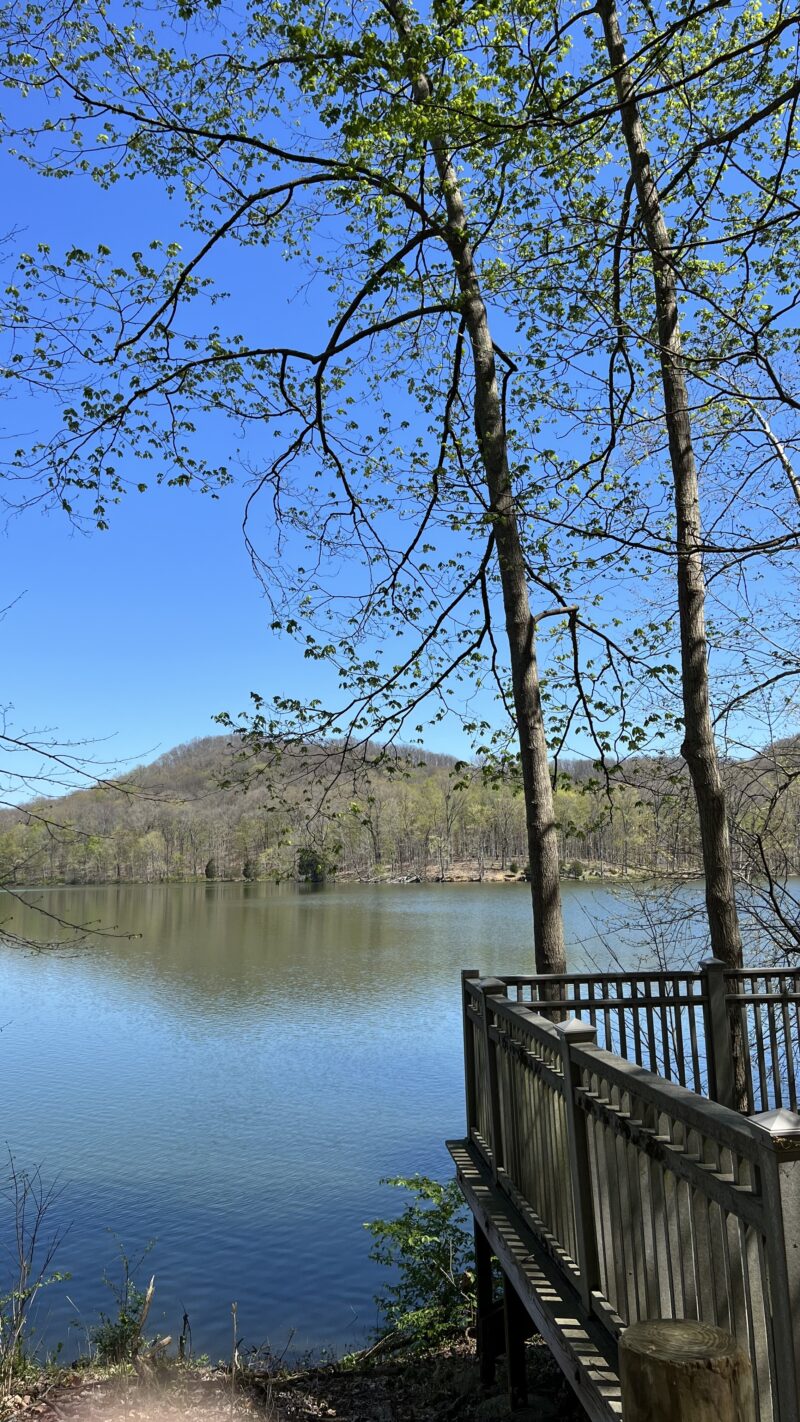 radnor lake walk