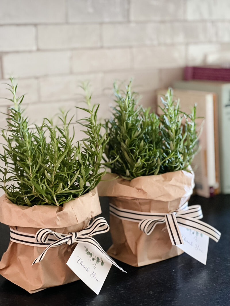 rosemary party favor