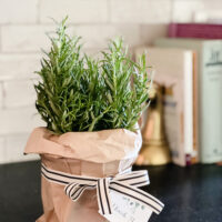 rosemary party favor