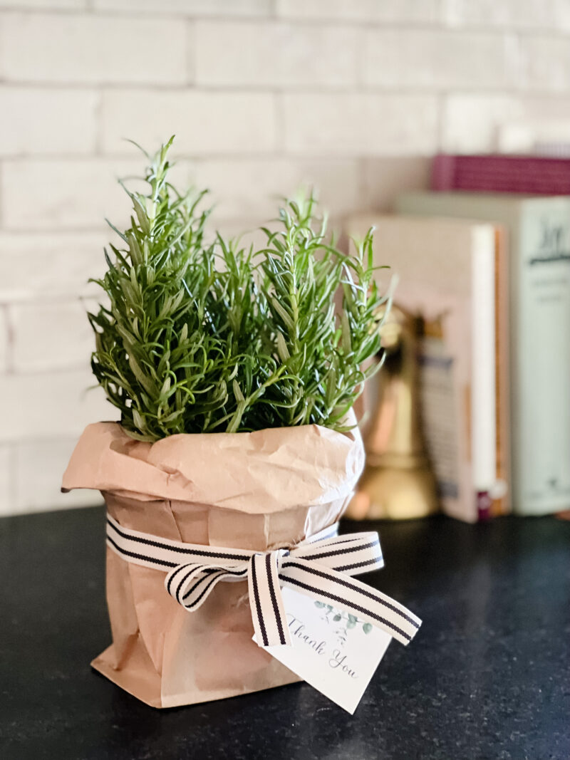 rosemary party favor