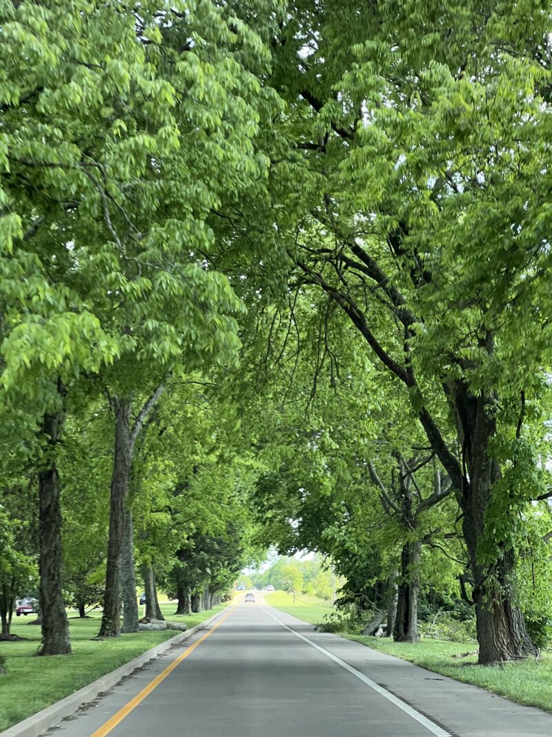 tennessee streets