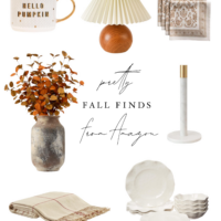 fall finds amazon