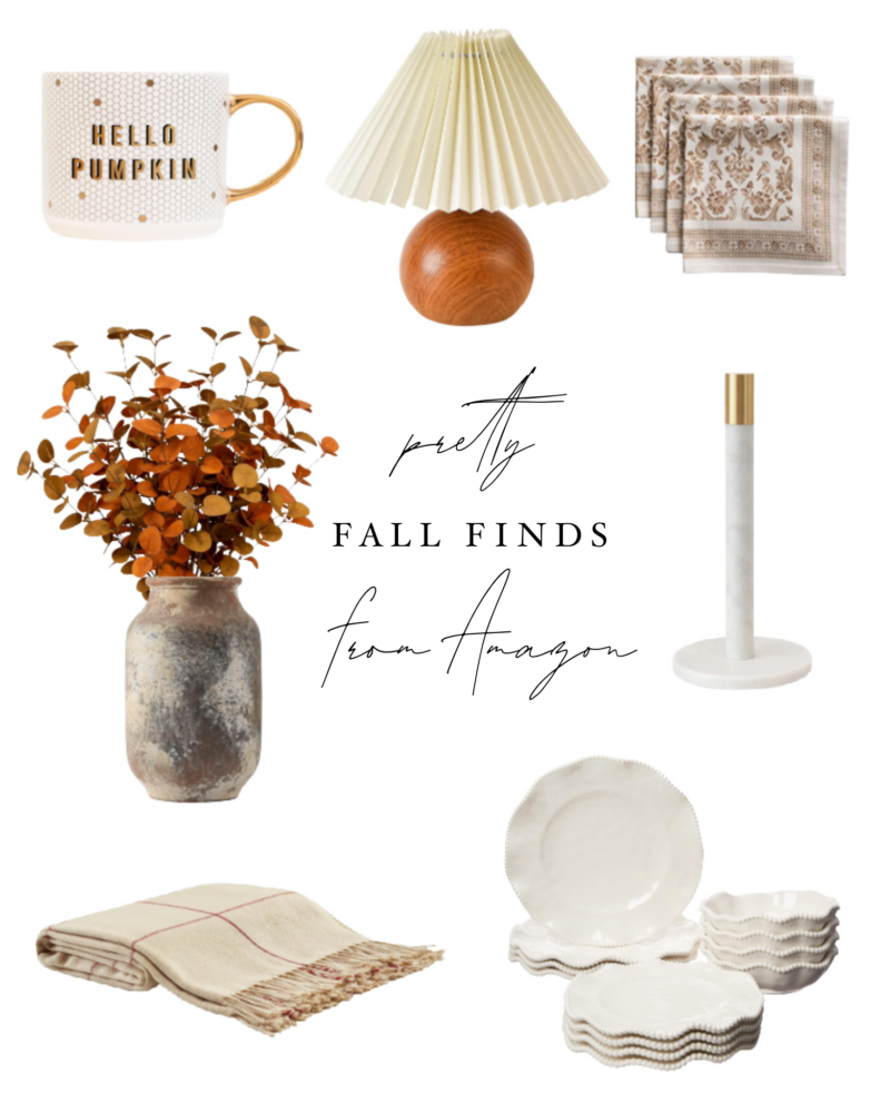 fall finds amazon