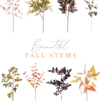 beautiful fall stems