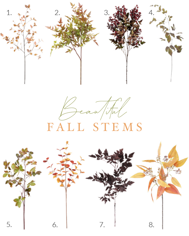 beautiful fall stems