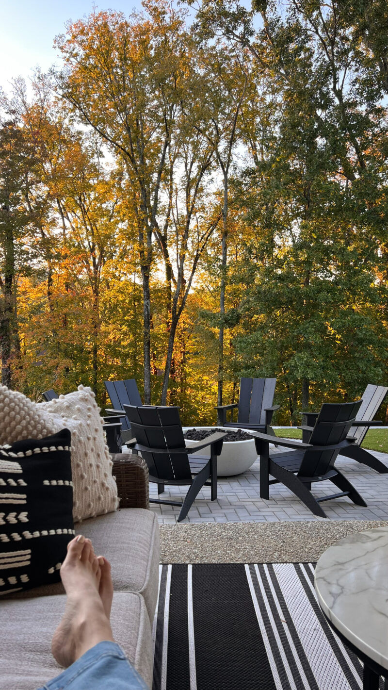 fall trees backyard