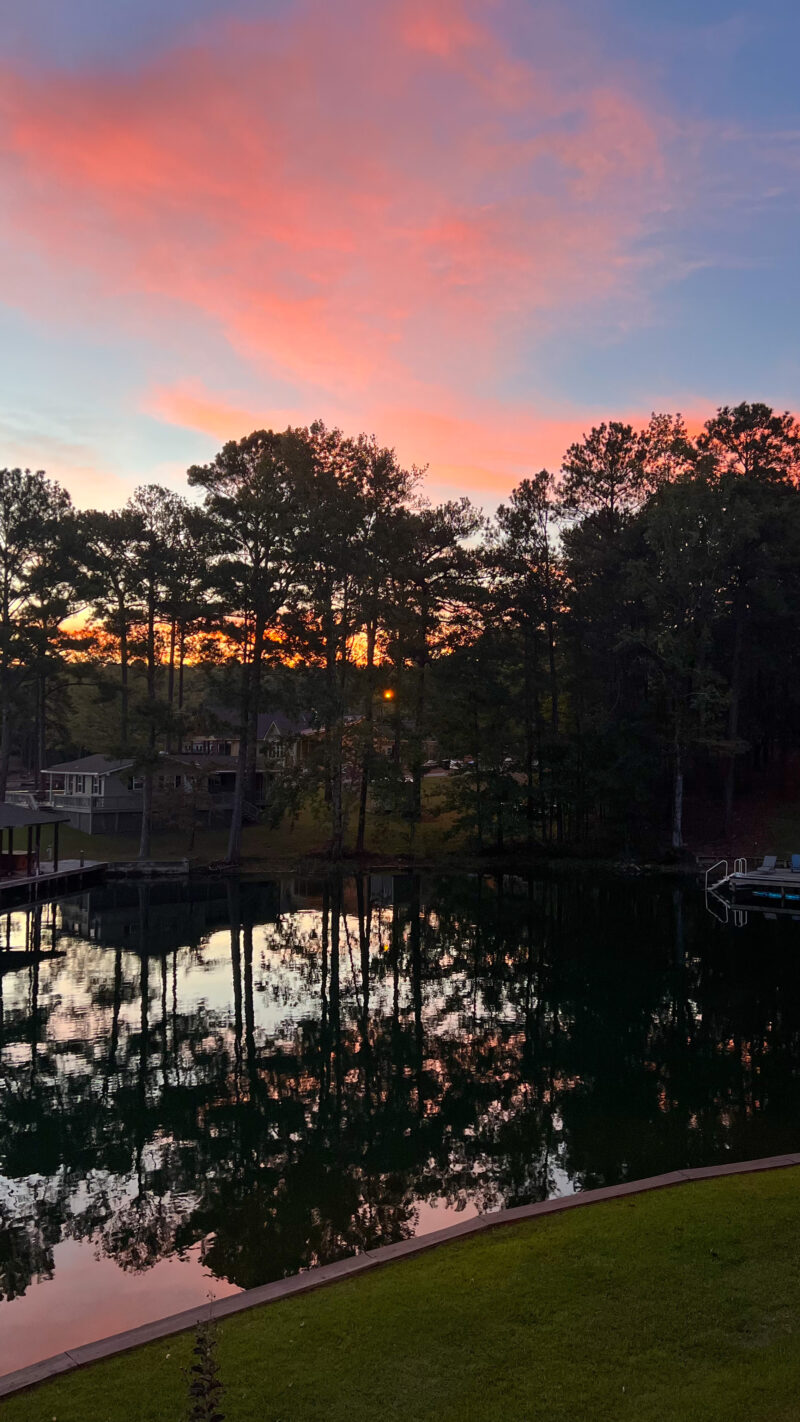 lake martin