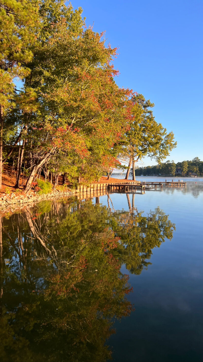 lake martin