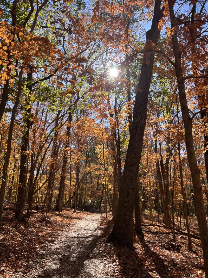 fall radnor lake