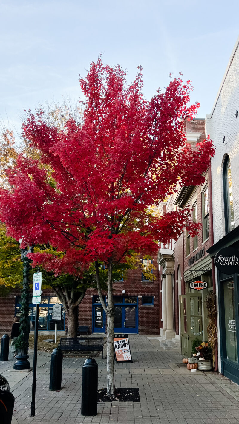 downtown franklin