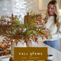 fall stems