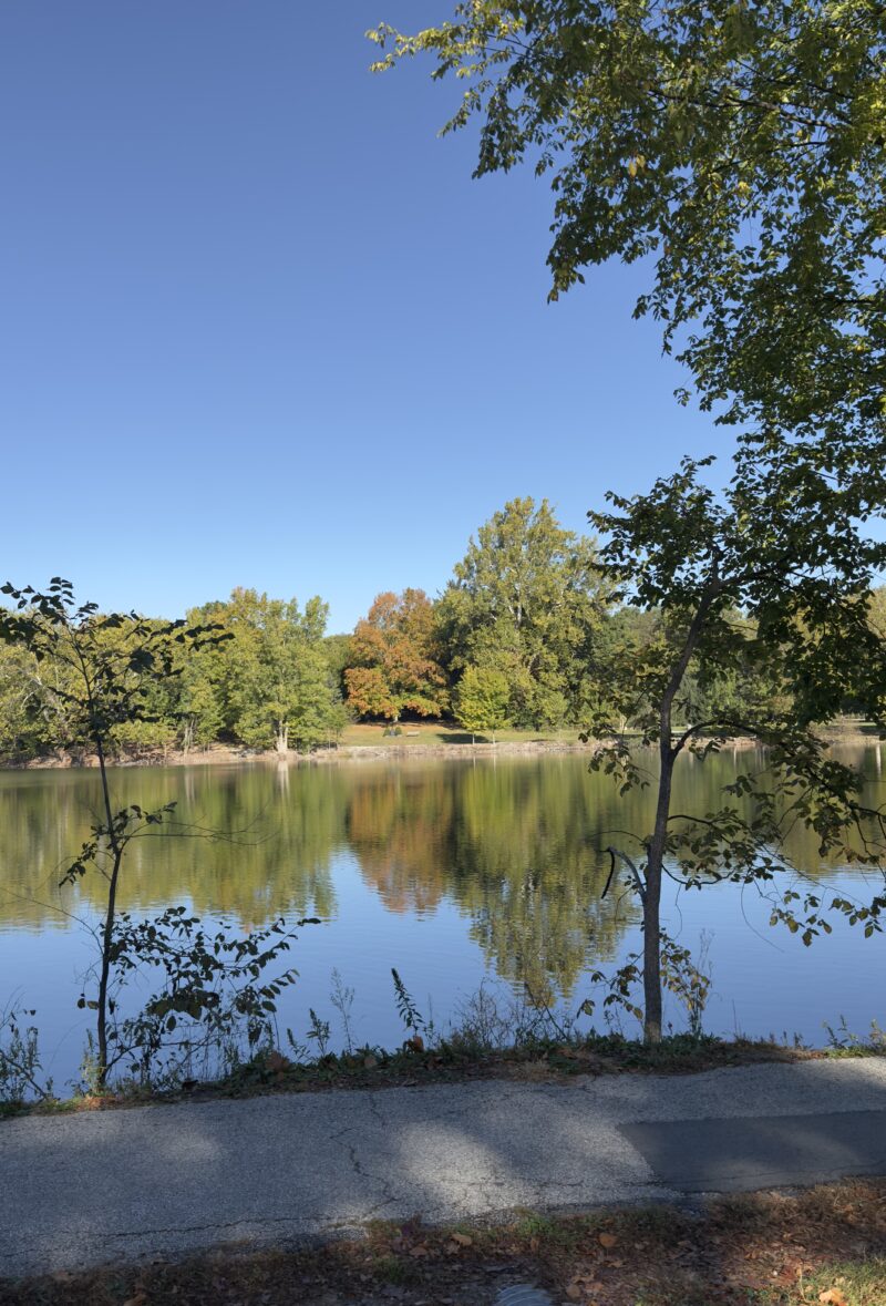 the lake
