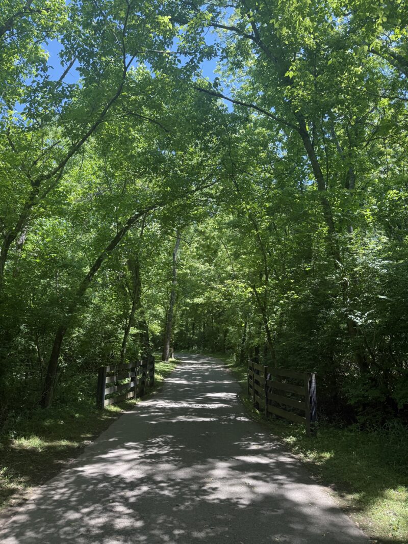 morning walk