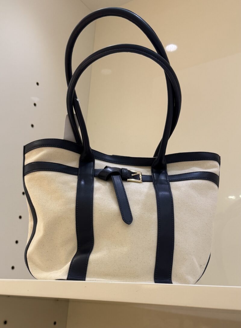 ann taylor bag