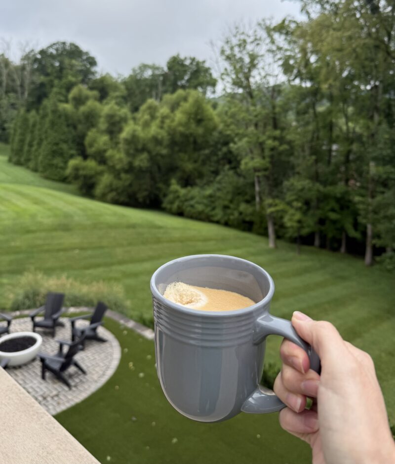 coffee trees