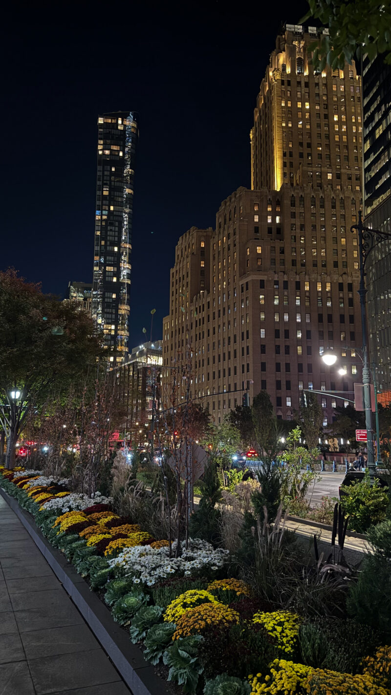 new york3